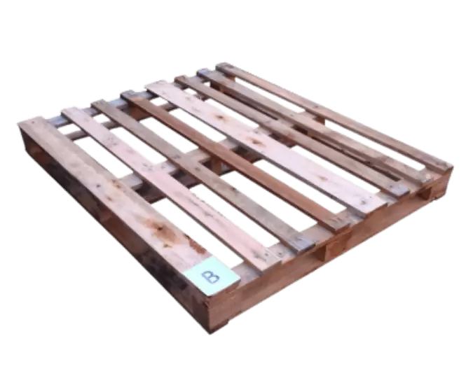 Pallet B descartável